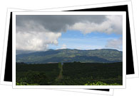 Alajuela Province