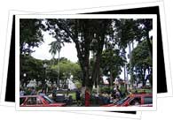 Alajuela Parque Central