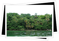 Parque Nacional Cahuita