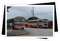 buses in Costa Rica