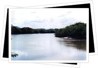 Parque Nacional Guanacaste