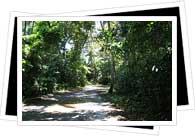 Tortuguero National Park