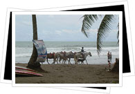 Jacó Beach