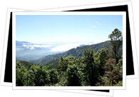 Parque Nacional Los Quetzales