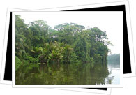 Parque Nacional Tortuguero